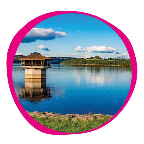 Carsington water pink