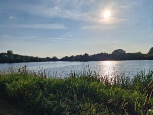 A scenic view of a lake. There is long grass at the front of the picture, a stretch of water and then the silhouette of trees. The sun reflects on the surface.